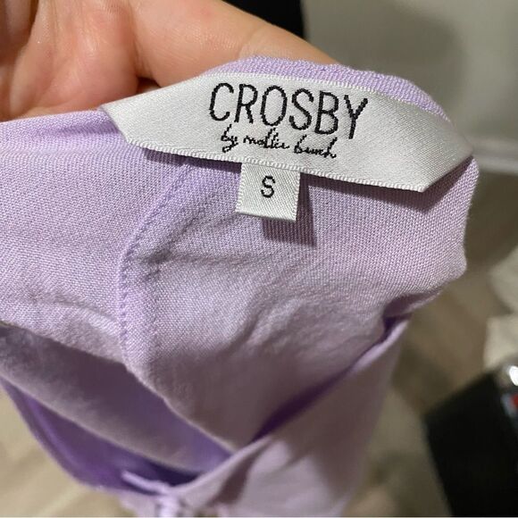 Crosby Mollie Burch Purple Ruffle Sleeve Oversized Crop Size S - Picture 4 of 8